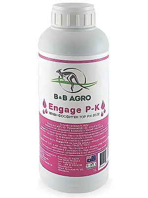 Б&Б Ангейдж П-К — Течен органичен фосфитен тор